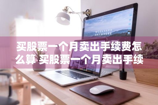 买股票一个月卖出手续费怎么算 买股票一个月卖出手续费怎么算的