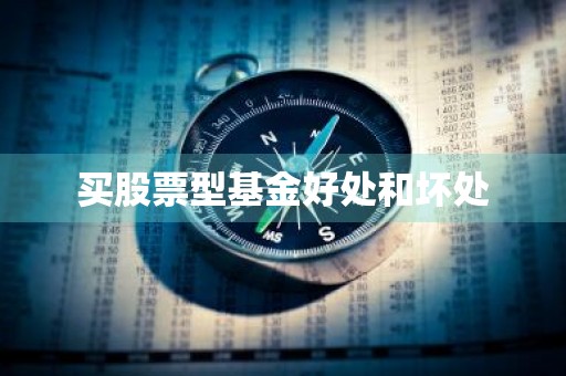 买股票型基金好处和坏处