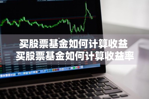 买股票基金如何计算收益 买股票基金如何计算收益率