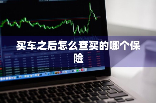 买车之后怎么查买的哪个保险