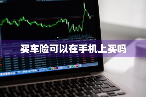 买车险可以在手机上买吗