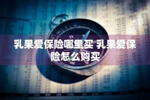 乳果爱保险哪里买 乳果爱保险怎么购买