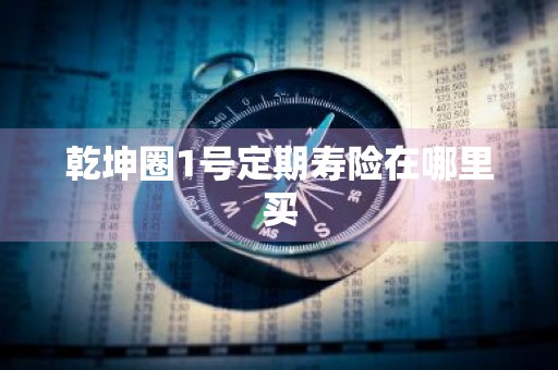 乾坤圈1号定期寿险在哪里买
