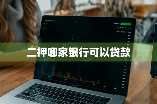 二押哪家银行可以贷款
