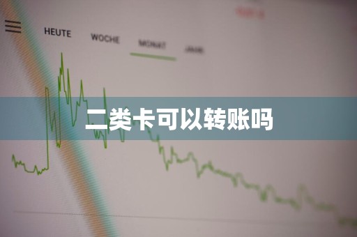 二类卡可以转账吗