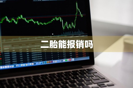 二胎能报销吗