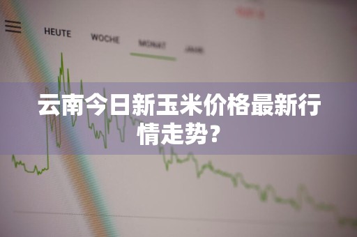云南今日新玉米价格最新行情走势？