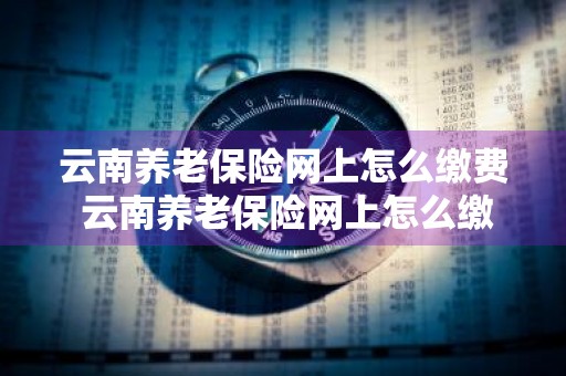 云南养老保险网上怎么缴费 云南养老保险网上怎么缴费的