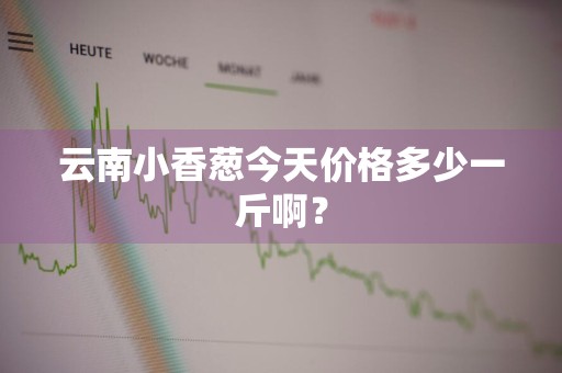 云南小香葱今天价格多少一斤啊？