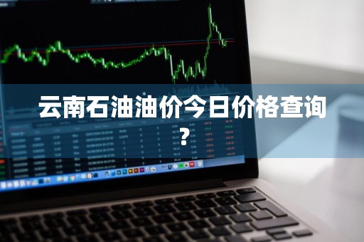 云南石油油价今日价格查询？