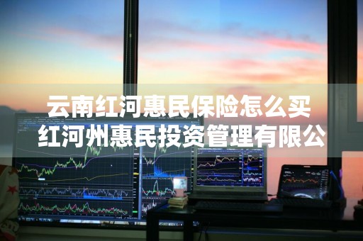 云南红河惠民保险怎么买 红河州惠民投资管理有限公司