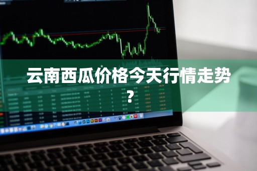 云南西瓜价格今天行情走势？