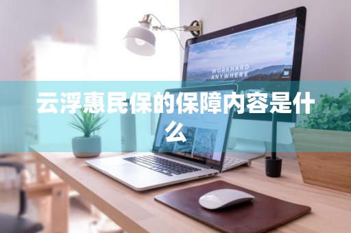 云浮惠民保的保障内容是什么
