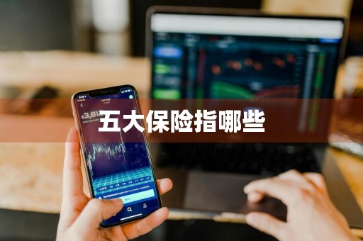 五大保险指哪些