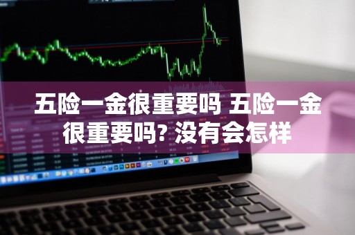 五险一金很重要吗 五险一金很重要吗? 没有会怎样