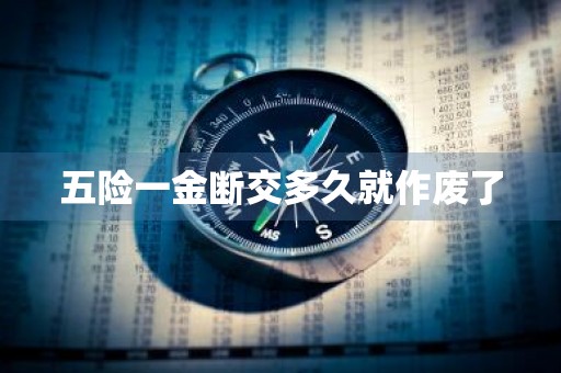 五险一金断交多久就作废了