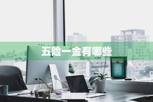 五险一金有哪些