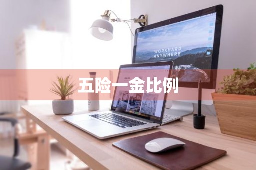 五险一金比例