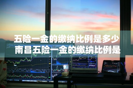 五险一金的缴纳比例是多少 南昌五险一金的缴纳比例是多少