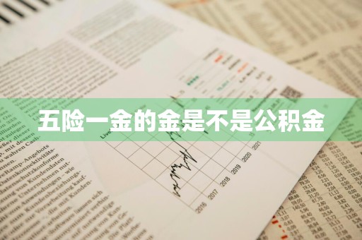 五险一金的金是不是公积金
