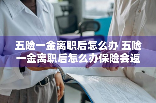 五险一金离职后怎么办 五险一金离职后怎么办保险会返吗