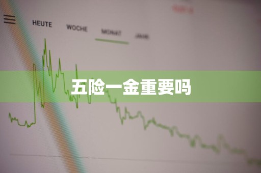 五险一金重要吗