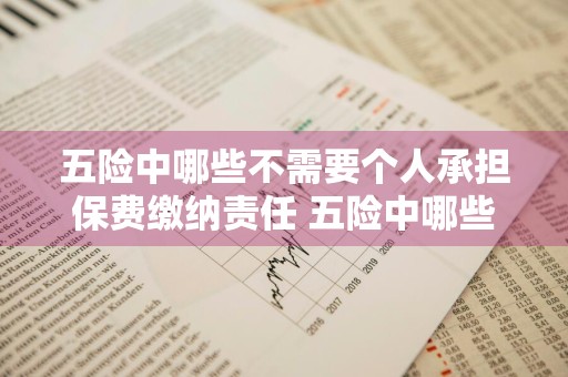 五险中哪些不需要个人承担保费缴纳责任 五险中哪些不需要个人承担保费缴纳责任的