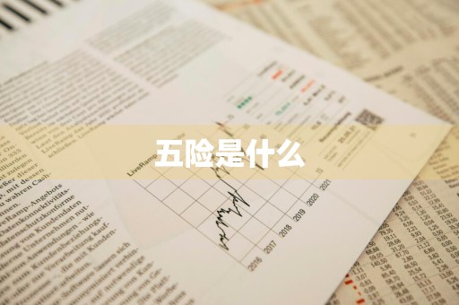 五险是什么