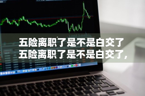 五险离职了是不是白交了 五险离职了是不是白交了,可以取出来吗