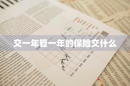 交一年管一年的保险交什么