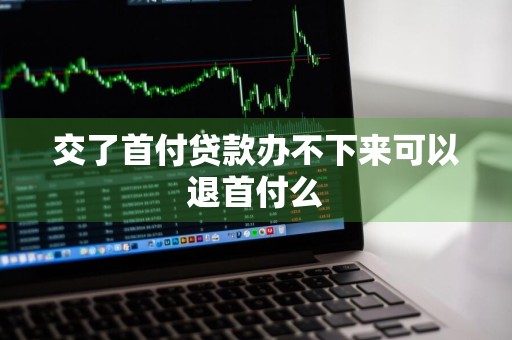 交了首付贷款办不下来可以退首付么