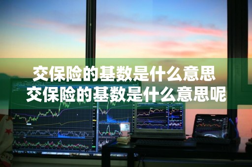交保险的基数是什么意思 交保险的基数是什么意思呢