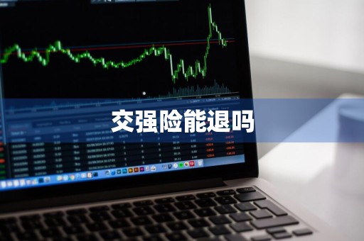 交强险能退吗