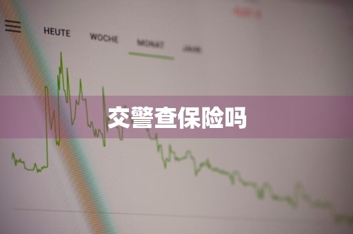 交警查保险吗