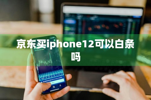京东买iphone12可以白条吗