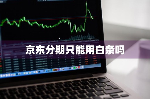 京东分期只能用白条吗