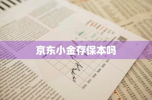 京东小金存保本吗