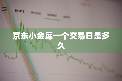 京东小金库一个交易日是多久