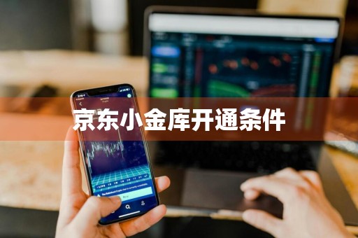 京东小金库开通条件