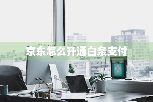 京东怎么开通白条支付