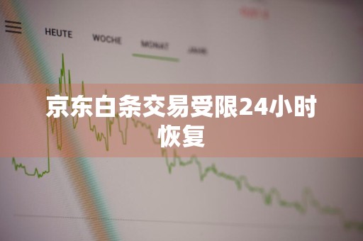 京东白条交易受限24小时恢复