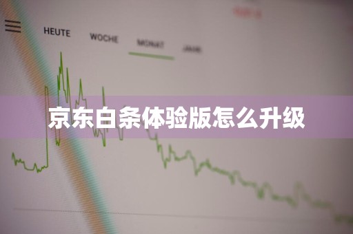 京东白条体验版怎么升级