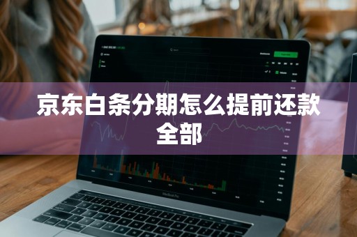 京东白条分期怎么提前还款全部