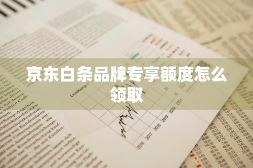 京东白条品牌专享额度怎么领取