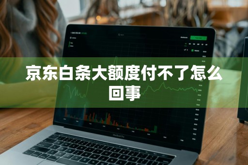 京东白条大额度付不了怎么回事