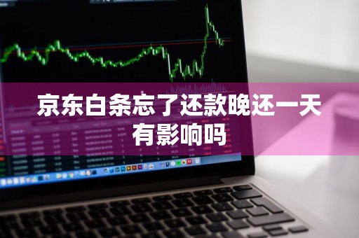 京东白条忘了还款晚还一天有影响吗