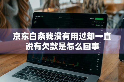 京东白条我没有用过却一直说有欠款是怎么回事