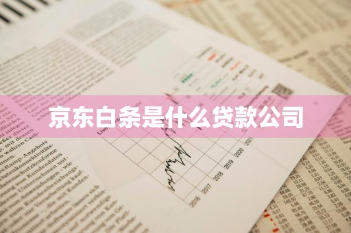 京东白条是什么贷款公司