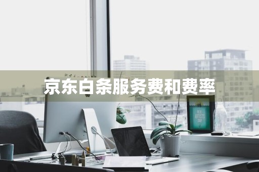 京东白条服务费和费率