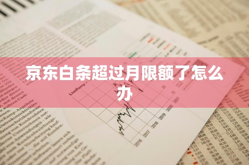 京东白条超过月限额了怎么办